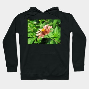 One Pretty Flower Hoodie